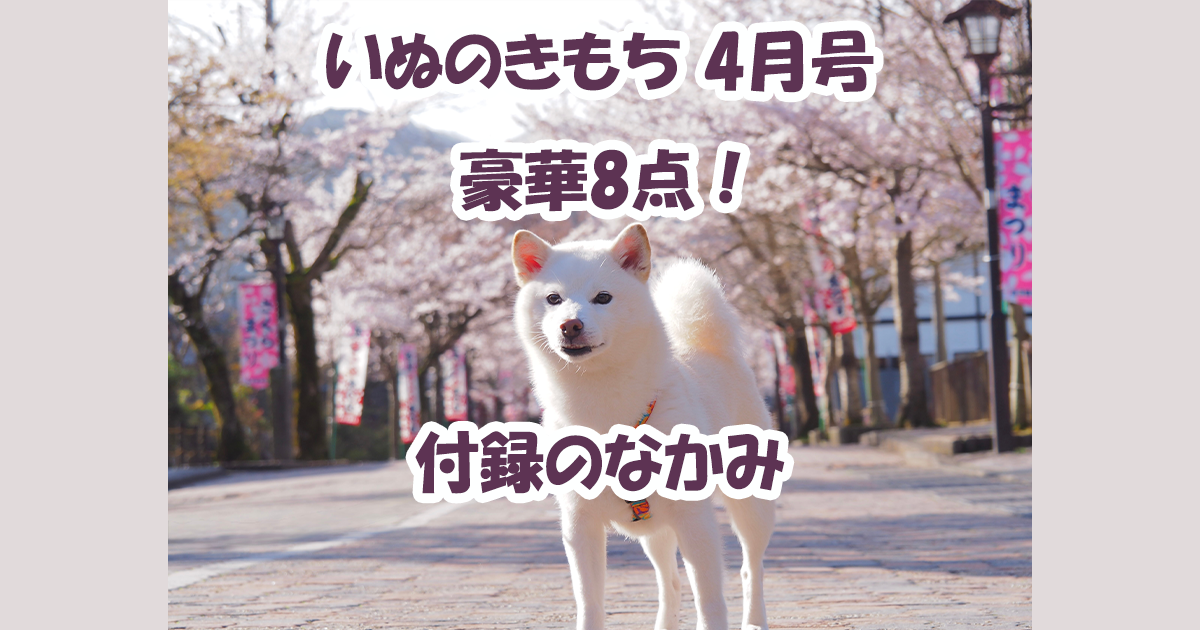 いぬのきもち　4月号　付録のなかみ